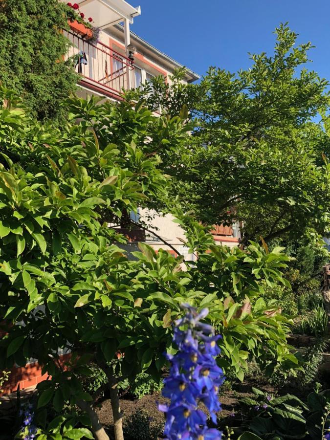 Pensjonat Victoria Hotel Мендзиздрое Екстериор снимка